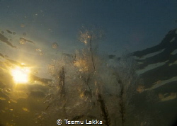Coldwater sun / Underwater Wintter photo from lake Vesija... by Teemu Lakka 